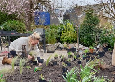 Tuinonderhoud Tuinontwerp Noord-Holland De Rijp