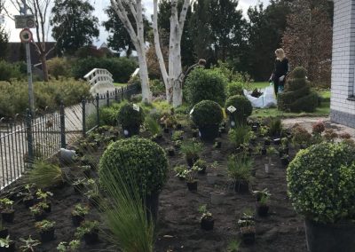 Tuinonderhoud Tuinontwerp Noord-Holland De Rijp