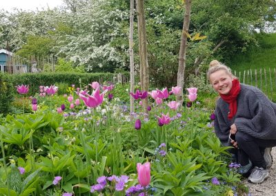 Tuinonderhoud Tuinontwerp Noord-Holland De Rijp